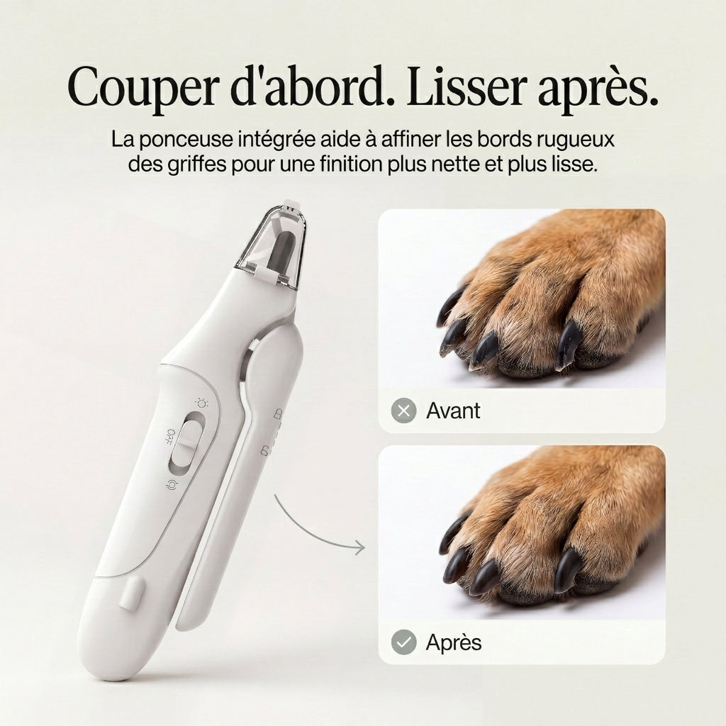 Pawly™